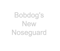 Picture of Bobdogs New Noseguard missing