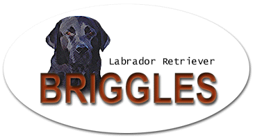 Kennel Briggles logotype