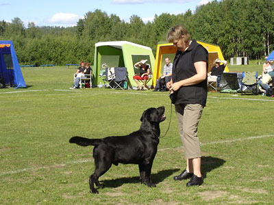 FINUCH SU(u)CH Briggle's Fox on the Run