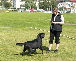 Briggle's Fox on the Run