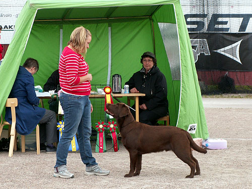 Briggle's Love Escort