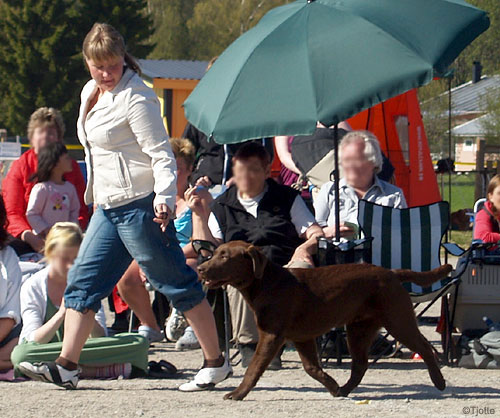 Briggle's Love Escort