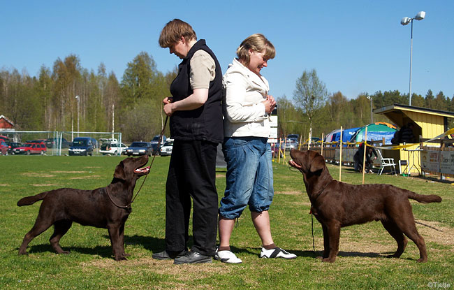 Briggle's Kind of Love & Briggle's Love Escort