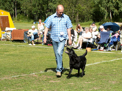 SVCH Briggle's Gingerbread