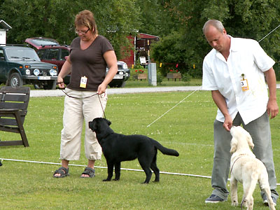 Briggle's You Got It