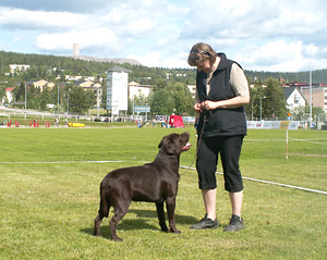 Briggle's Backpacker