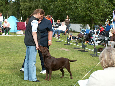 SVCH Briggle's Comix Heavy