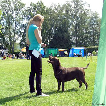 Briggle's Comix Heavy