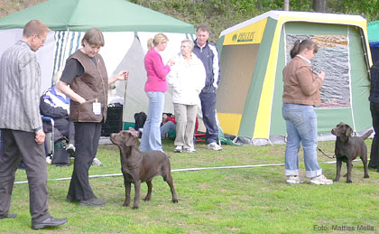 Briggle's Everquest & Briggle's Quake