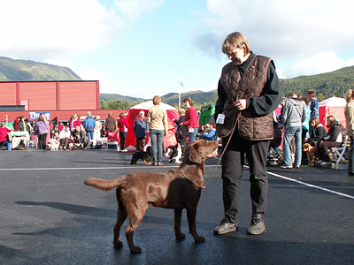 SVCH Briggle's Halifax