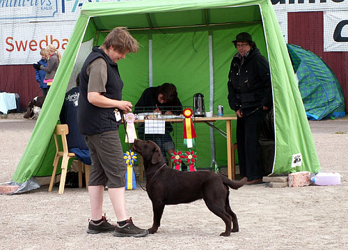 Briggle's Kind of Love