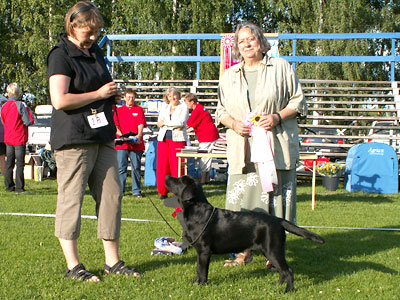 Briggle's Live is Life