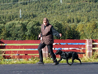 Briggle's She's the One