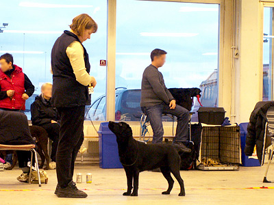 Briggle's She's the One