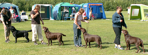 Briggle's uppf&ouml;dargrupp