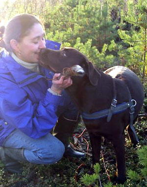 Briggle's Comix Heavy